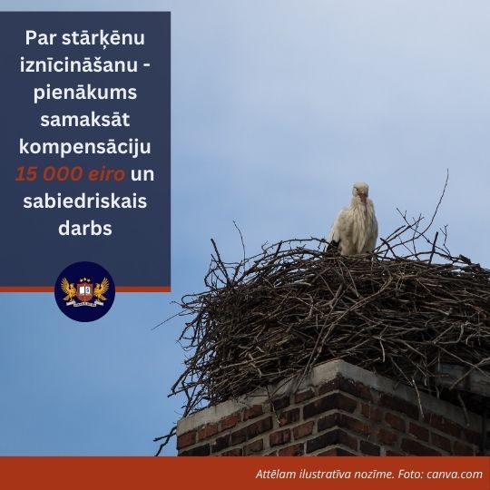 Par īpaši aizsargājamo putnu mazuļu iznīcināšanu – sabiedriskais darbs un pienākums samaksāt kompensāciju 15 000 eiro