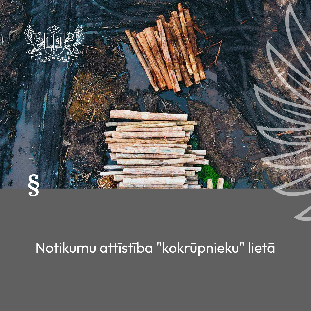 Kokrūpnieku lietas attīsības gaita