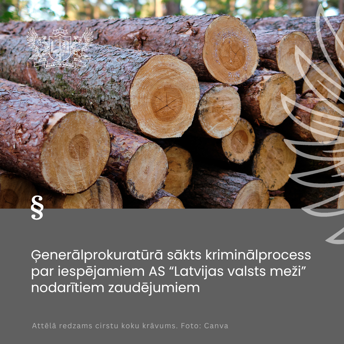 Attēls: Ģenerālprokuratūrā sākts kriminālprocess par iespējamiem AS “Latvijas valsts meži” nodarītiem zaudējumiem